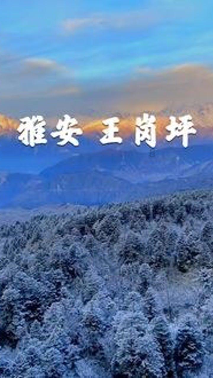 小8跑街|槐市巷人行道破损严重 市民盼及时养护
