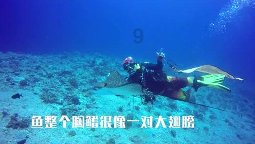 星球大乱斗